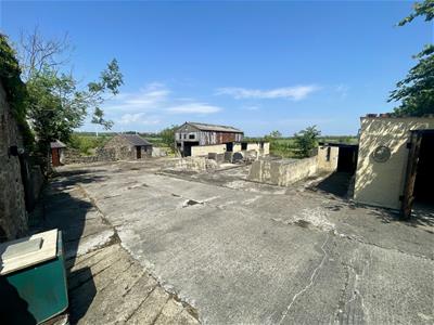 Picture 18